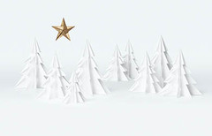 Erleben Sie die Weihnachtszeit mit La Biosthétique